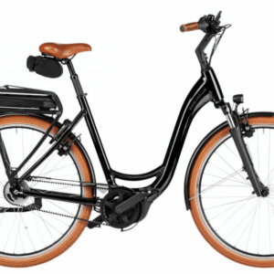 Riese & Müller Swing4 – E-Citybike